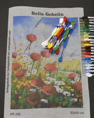 Mohnblumen auf der Frühlingswiese