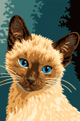 Katze Porträt Reihe: Mirci