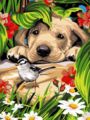 Der Hund und der kleine Vogel