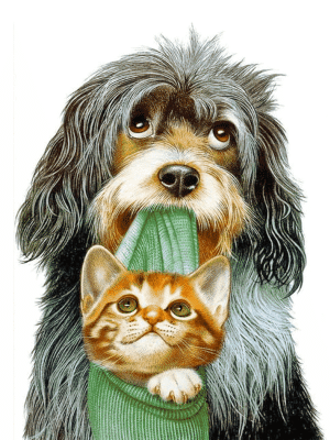 Hund - Katze Freundschaft