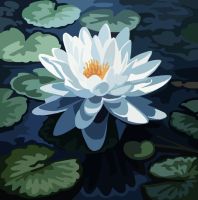 Seerose