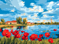 Mohnblumen am Rand des Dorfes