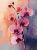 Orchidee