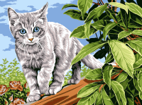 Schlimmer kleiner Kater