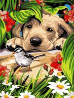 Der Hund und der kleine Vogel