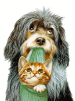 Hund - Katze Freundschaft