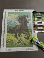 Der galoppierende Hengst