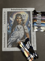 Indianisches Mädchen mit weißer Eule