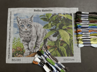 Schlimmer kleiner Kater